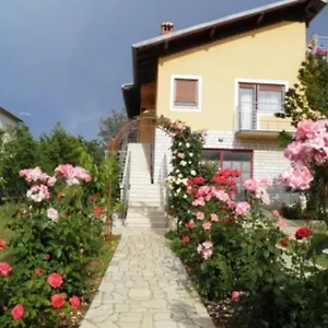 Appartamento Nela, Pola